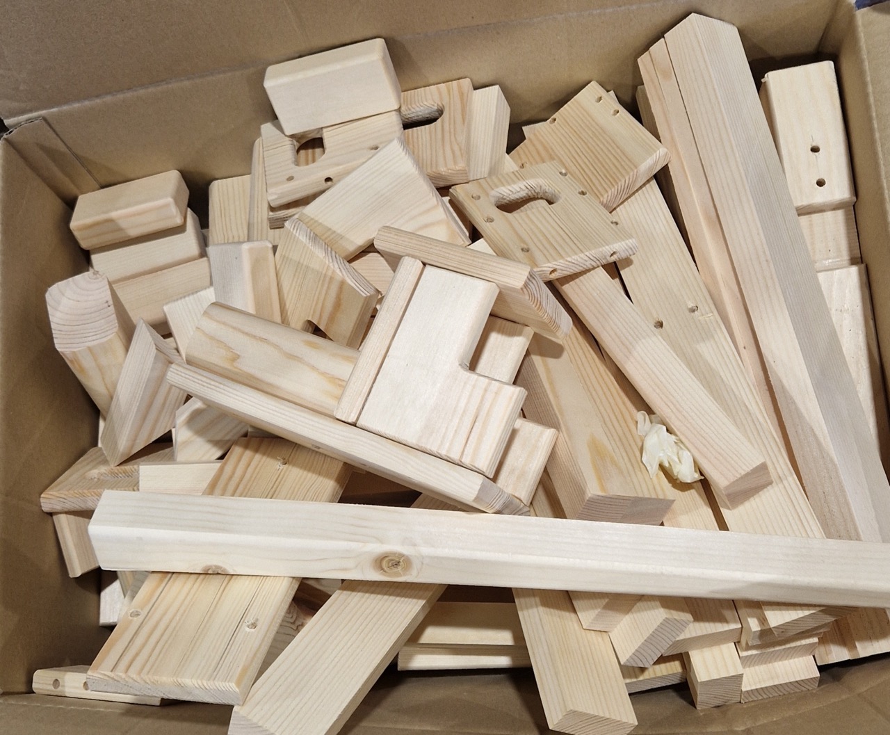 20250113_101250 de tamaño grande