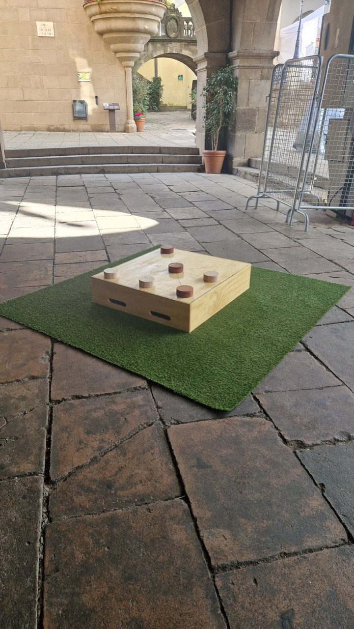 20250322_094044 - còpia de tamaño grande