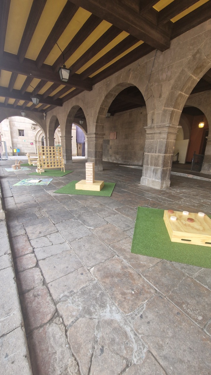 20250322_094221 - còpia de tamaño grande